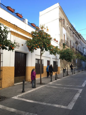 Walking the streets of Jerez de la Frontera