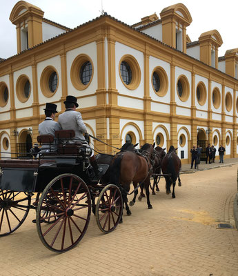 Royal Andalusian School of Equestrian Art