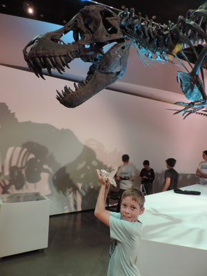 Will with a cast of a T Rex brain