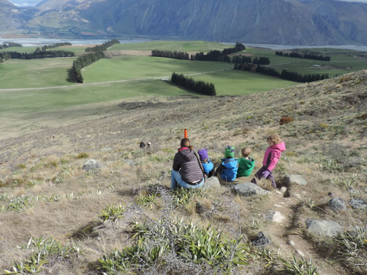 Low slopes of Peak Hill