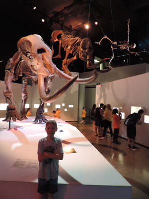 Mammoth fossil flicks a neanderthal out of the way