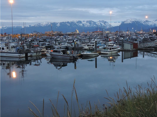 View over Homer Boat Harbour to Harding Ice Field.