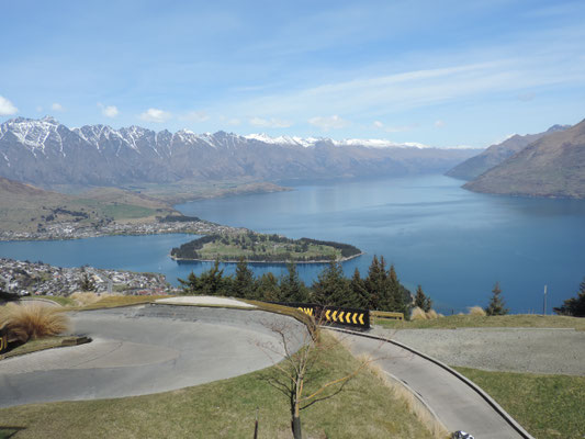 Luge Track