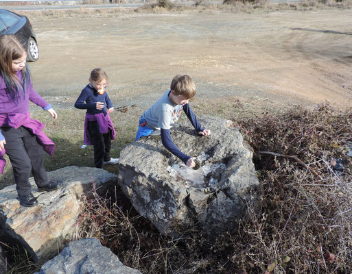 Will excavates ice from an Allosaurus footprint