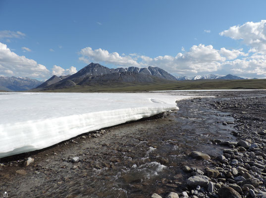 Ice sheets on Lake Galbraith