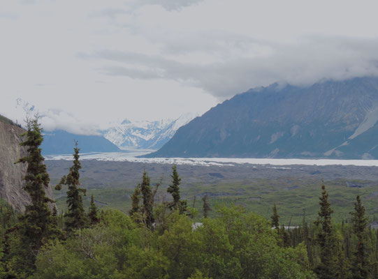 43 Km long and 6 Km wide, Matanuska is the US's largest glacier accessible by road