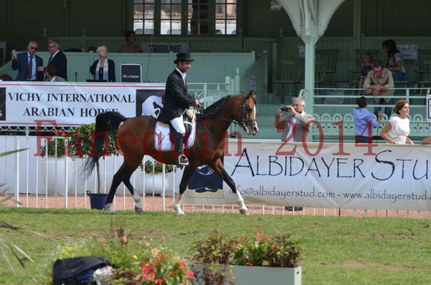 Démonstration de reprise de dressage étalon - TS GRADADELL - 67