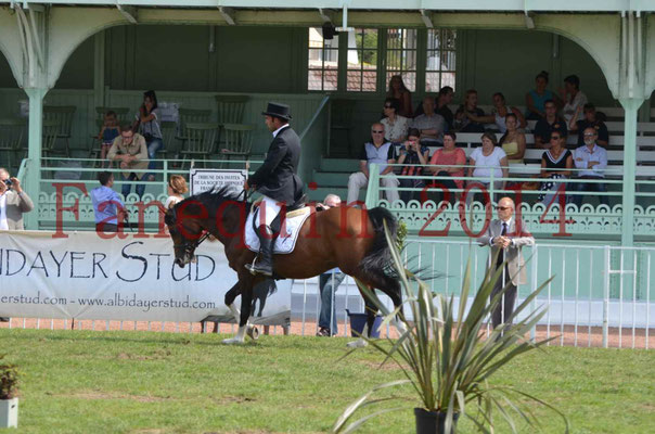 Démonstration de reprise de dressage étalon - TS GRADADELL - 60