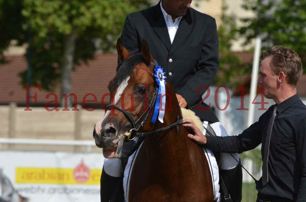 Démonstration de reprise de dressage étalon - TS GRADADELL - 86