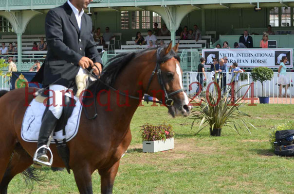 Démonstration de reprise de dressage étalon - TS GRADADELL - 01 