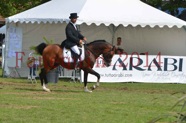 Démonstration de reprise de dressage étalon - TS GRADADELL - 48