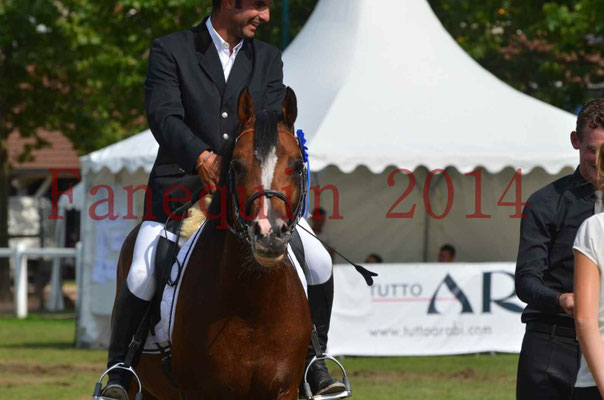 Démonstration de reprise de dressage étalon - TS GRADADELL - 81