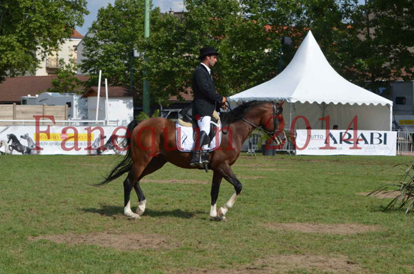 Démonstration de reprise de dressage étalon - TS GRADADELL - 28