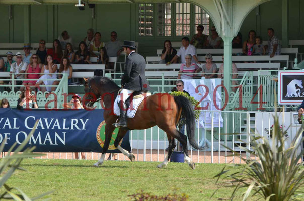 Démonstration de reprise de dressage étalon - TS GRADADELL - 10