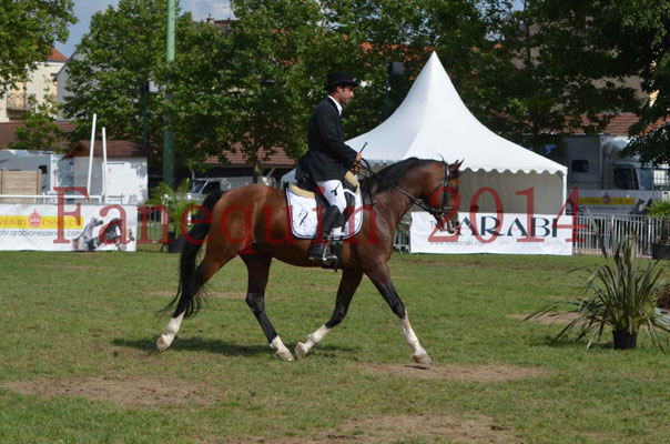 Démonstration de reprise de dressage étalon - TS GRADADELL - 29