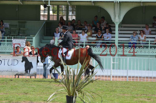 Démonstration de reprise de dressage étalon - TS GRADADELL - 58