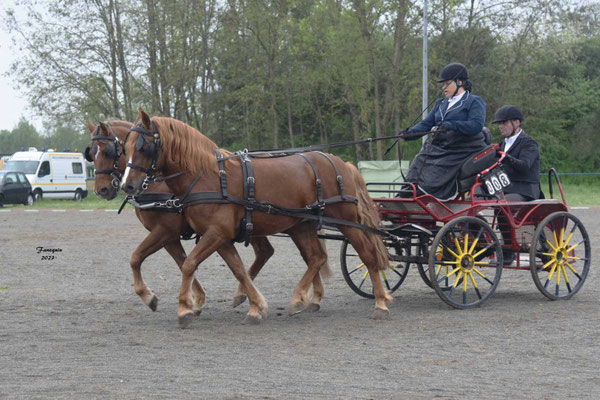 Concours d'attelage à Cap Découverte les 22 & 23 Avril 2023 - Amateur 1 grand prix poney paire meneur BRUNO Nadine
