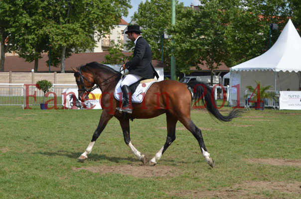 Démonstration de reprise de dressage étalon - TS GRADADELL - 42