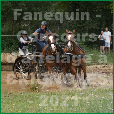 Concours Régional d'attelage à BRIGNOLES - SAURY Jean Marie - paire chevaux