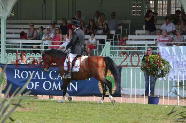 Démonstration de reprise de dressage étalon - TS GRADADELL - 63