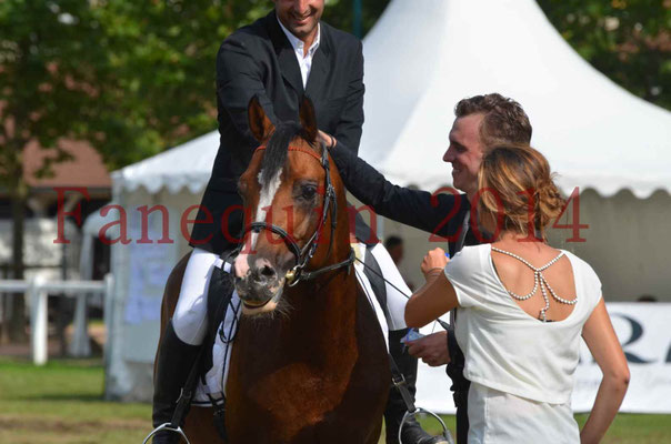 Démonstration de reprise de dressage étalon - TS GRADADELL - 77