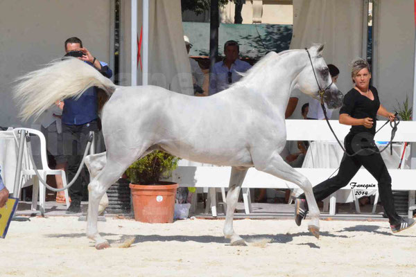 Concours national de Nîmes 2014 - ESTA ESPLANAN - Notre Sélection - 01