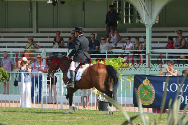 Démonstration de reprise de dressage étalon - TS GRADADELL - 13