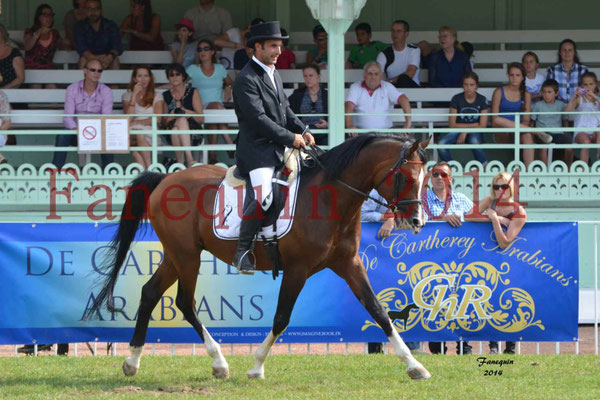 Démonstration de reprise de dressage étalon - TS GRADADELL - 93