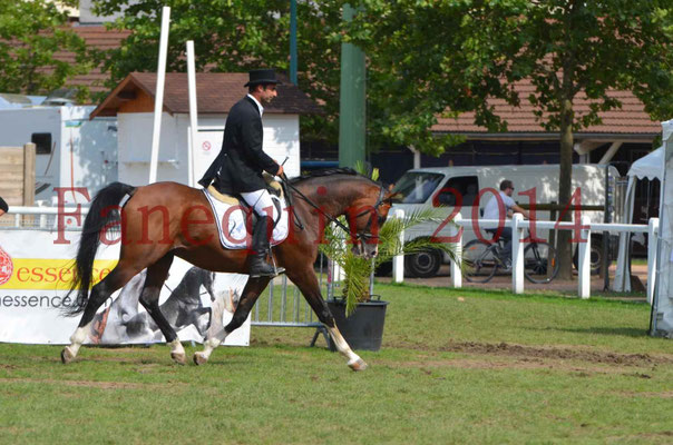Démonstration de reprise de dressage étalon - TS GRADADELL - 44