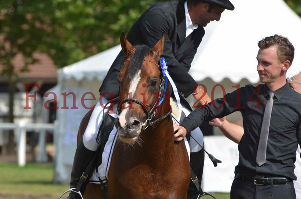Démonstration de reprise de dressage étalon - TS GRADADELL - 82