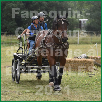 Concours Régional d'attelage à BRIGNOLES - BRASSE Catherine - solo trait