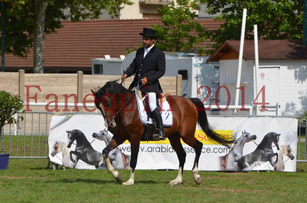 Démonstration de reprise de dressage étalon - TS GRADADELL - 22