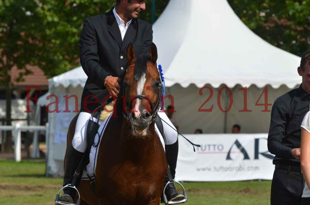 Démonstration de reprise de dressage étalon - TS GRADADELL - 80