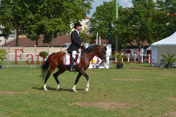 Démonstration de reprise de dressage étalon - TS GRADADELL - 25