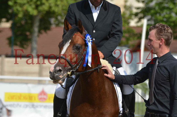 Démonstration de reprise de dressage étalon - TS GRADADELL - 84