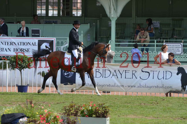 Démonstration de reprise de dressage étalon - TS GRADADELL - 68