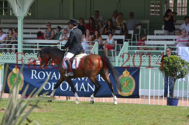 Démonstration de reprise de dressage étalon - TS GRADADELL - 64