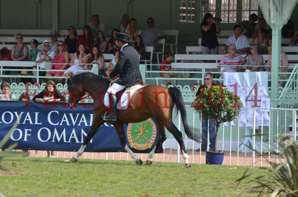 Démonstration de reprise de dressage étalon - TS GRADADELL - 62