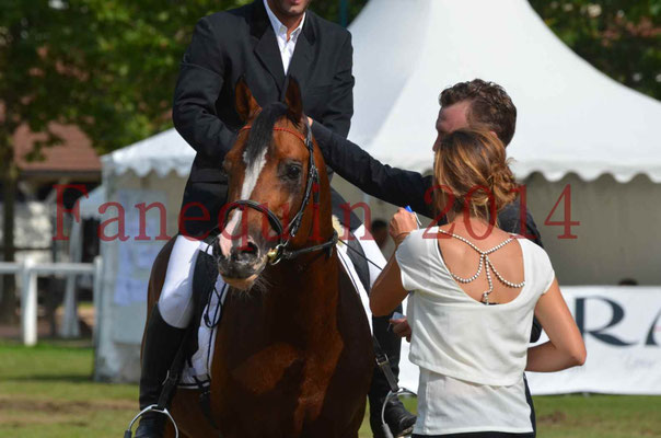 Démonstration de reprise de dressage étalon - TS GRADADELL - 78