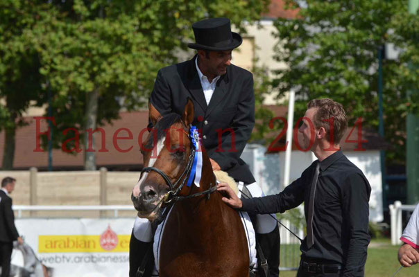 Démonstration de reprise de dressage étalon - TS GRADADELL - 87