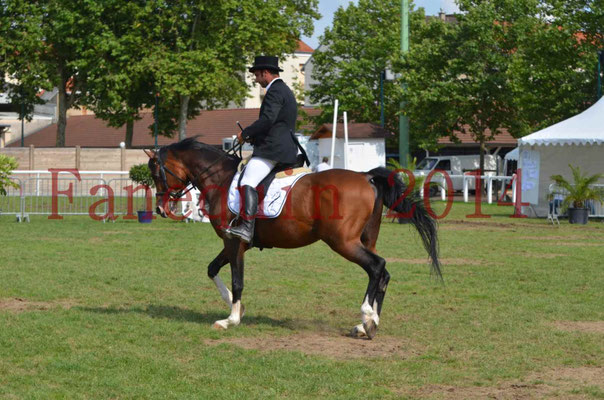 Démonstration de reprise de dressage étalon - TS GRADADELL - 43