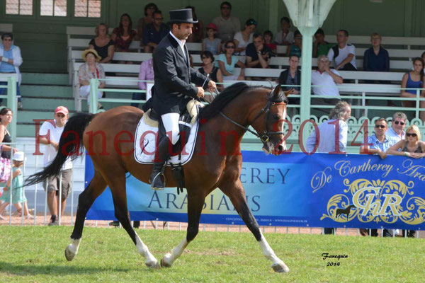Démonstration de reprise de dressage étalon - TS GRADADELL - 91