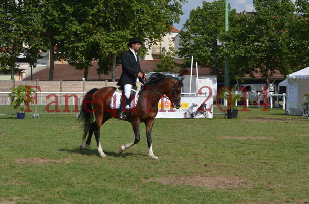 Démonstration de reprise de dressage étalon - TS GRADADELL - 24