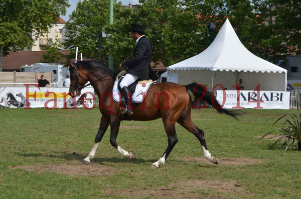Démonstration de reprise de dressage étalon - TS GRADADELL - 40