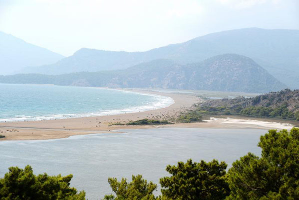 Iztuzu Beach – Schildkröten und Meer