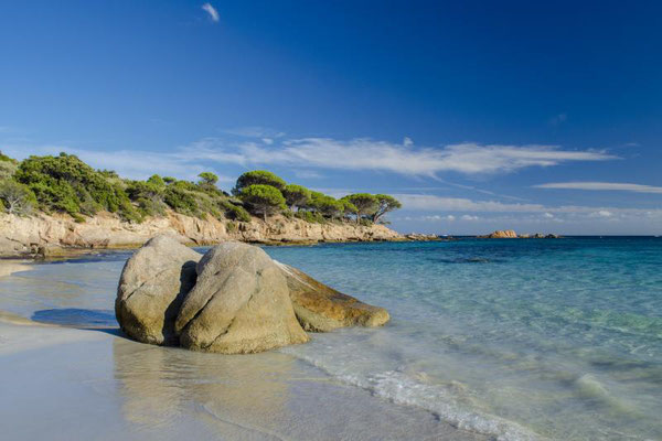 Plage de Palombaggia – das französische Seychellen-Double