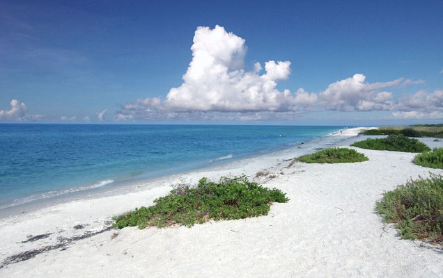 Sanibel-Island-florida