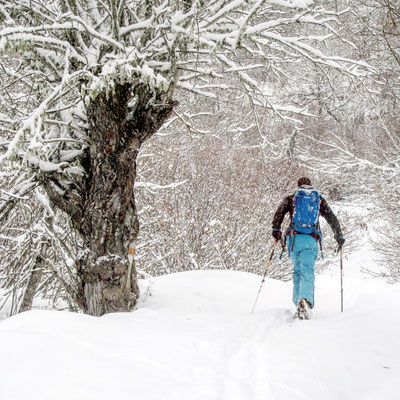 @Kaukasus Freeride (Gregor Hartl Photography)