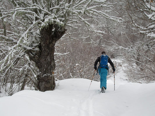 @Kaukasus Freeride (Gregor Hartl Photography)