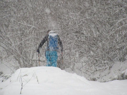 @Kaukasus Freeride (Gregor Hartl Photography)